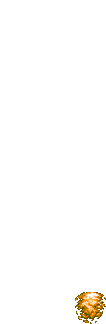 animation 07