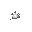 animation 02